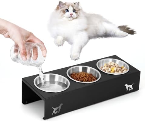 Elevated Cat Food Bowl,15°Tilted Stand Anti Vomiting Raised Cat Dishes for Food and Water,3 Stainless Steel Bowls,Non-Slip No Spill,Cats and Puppy