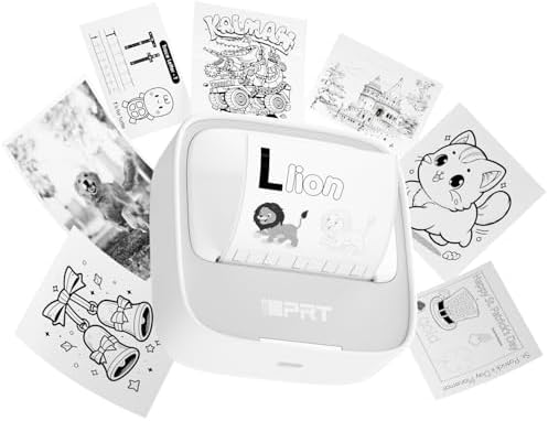 iDPRT Sticker Printer, Portable Thermal Printer with 1 Roll Sticker Paper, Bluetooth Inkless Printer Mini Label Maker for Study, DIY, Notes, Mini Label Maker with Multiple Template in Free App, Gray
