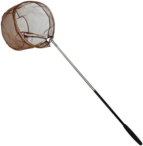 RESTCLOUD Bait Net and Fishing Landing Net with Telescoping Pole Handle Extends to 59 inches